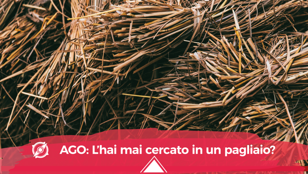 Ago In Un Pagliaio In Inglese