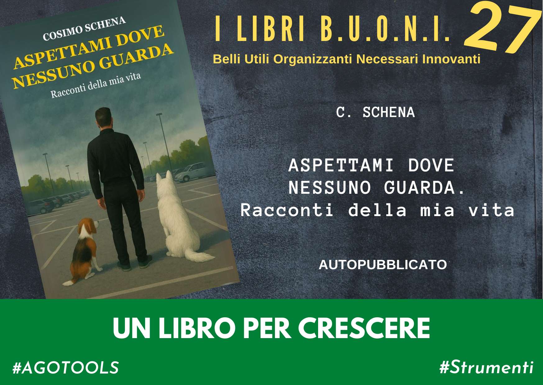 Copertina del libro "Aspettami dove nessuno guarda"