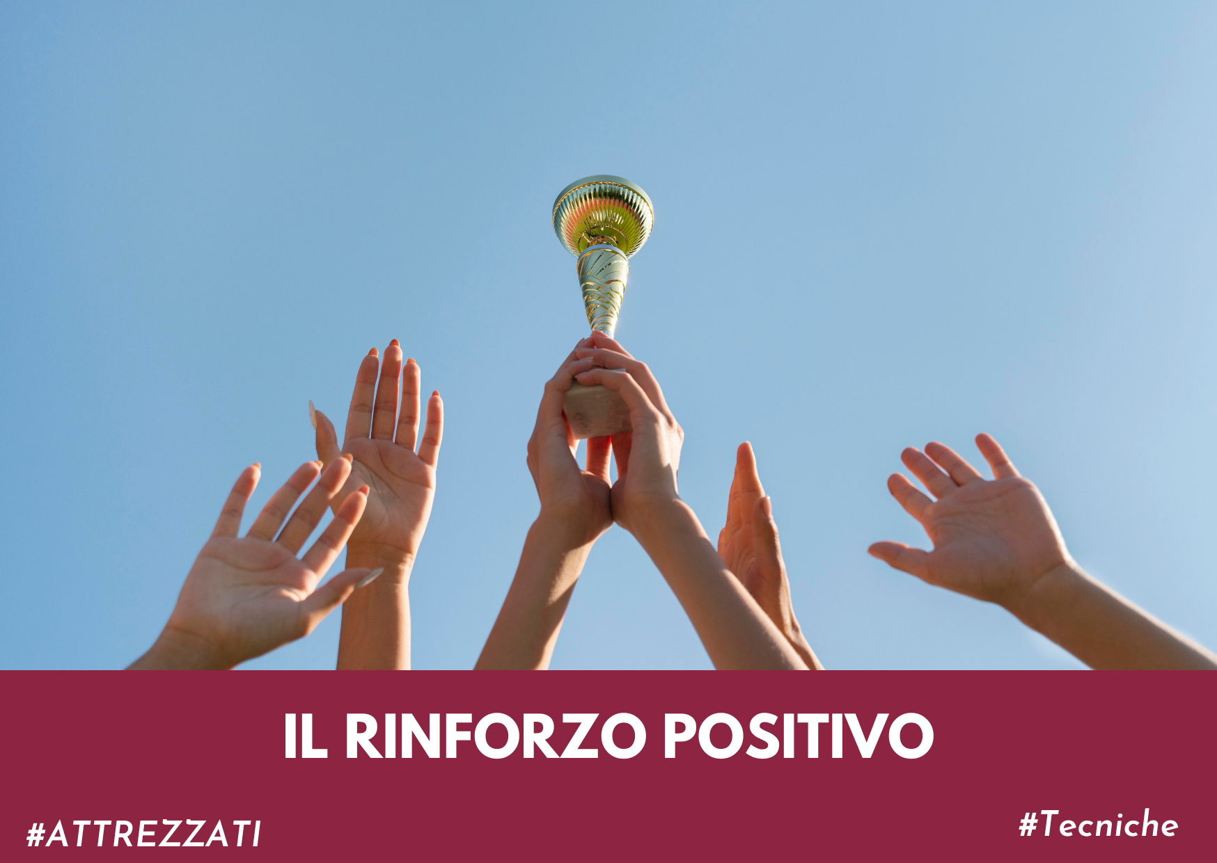 immagine di mani che alzano una coppa