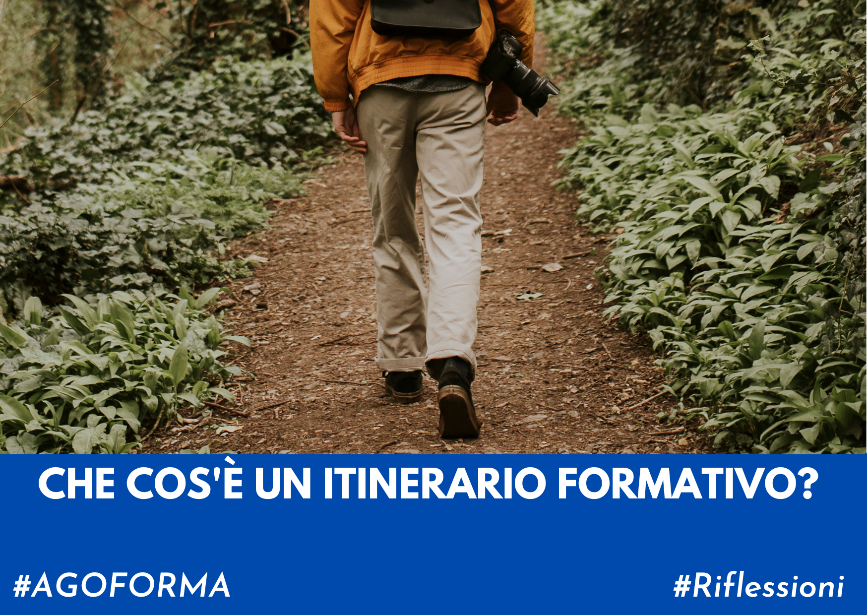 uomo che cammina in un sentiero in un bosco